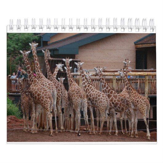 Giraffe 2022 5,5 x 7 inch kalender (Hoes)