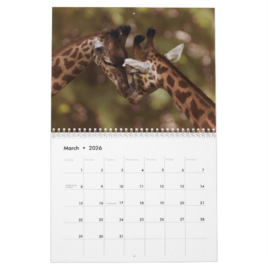 Giraffe 2025 kalender (Mar 2026)