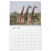 Giraffe 2025 kalender (Jan 2026)