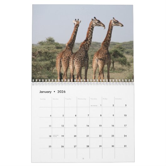 Giraffe 2025 kalender (Jan 2026)