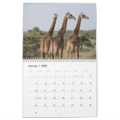 Giraffe 2027 kalender (Jan 2027)