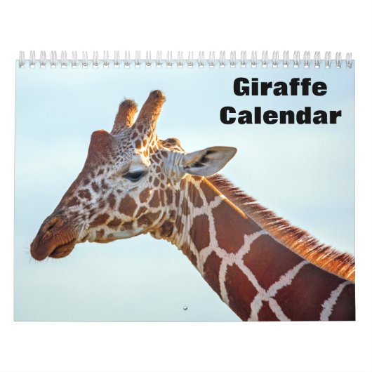 Giraffe 2027 kalender (Hoes)