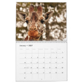 Giraffe 2027 kalender (Jan 2027)