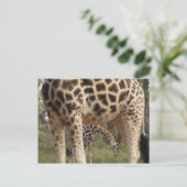 GIRAFFE 2 BRIEFKAART (Staand voorkant)