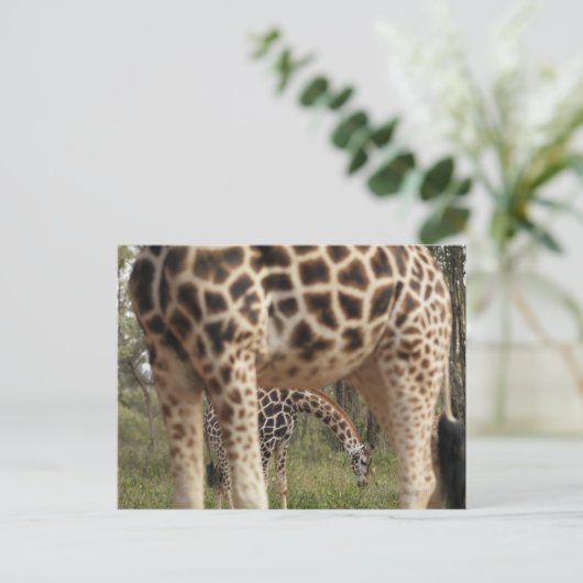 GIRAFFE 2 BRIEFKAART (Staand voorkant)