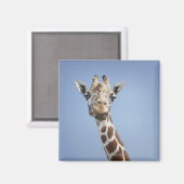 GIRAFFE 2 MAGNEET (Voorkant / Achterkant)