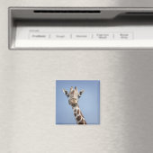 GIRAFFE 2 MAGNEET (Insitu (Vaatwasser))