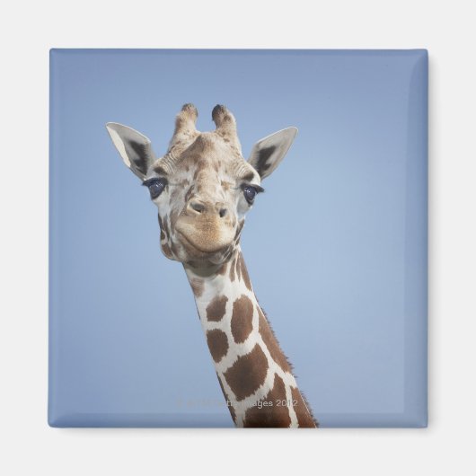 GIRAFFE 2 MAGNEET (Voorkant)