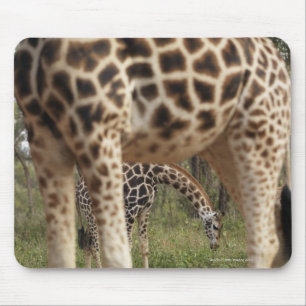GIRAFFE 2 MUISMAT