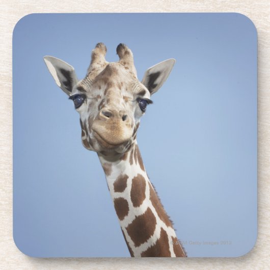 Giraffe 2 onderzetter (Voorkant)
