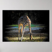 GIRAFFE 2 POSTER (Voorkant)