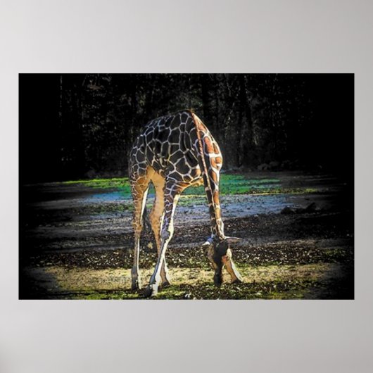 GIRAFFE 2 POSTER (Voorkant)