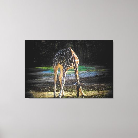 Giraffe 2Design Canvas Afdruk (Voorkant)