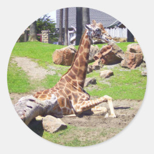 GIRAFFE 3 STICKER
