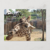 GIRAFFE # 4 BRIEFKAART (Voorkant)
