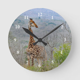 Giraffe 4 Klok