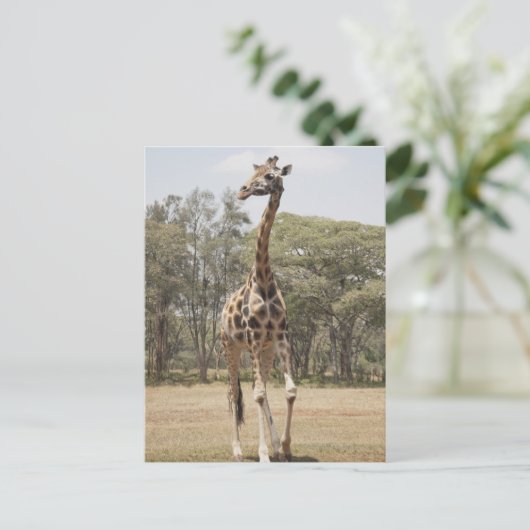 GIRAFFE 5 BRIEFKAART (Staand voorkant)