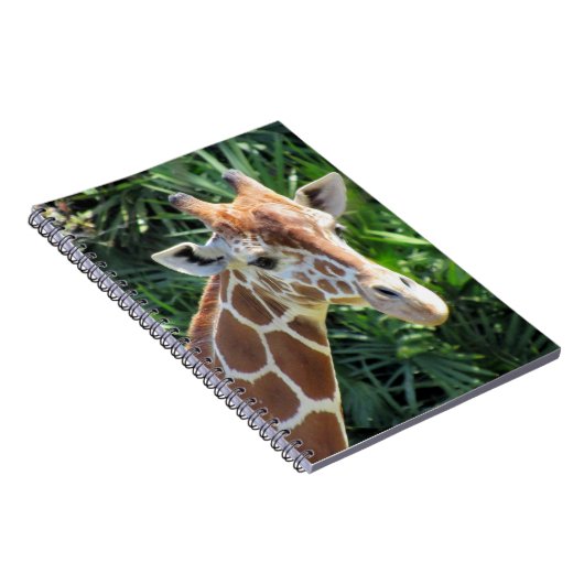 Giraffe - 6,5 x 8,75 Notitieboek (Rechterzijde)
