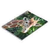 Giraffe - 6,5 x 8,75 Notitieboek (Linkerzijde)