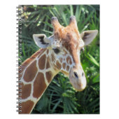 Giraffe - 6,5 x 8,75 Notitieboek (Voorkant)