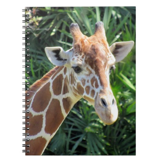 Giraffe - 6,5 x 8,75 Notitieboek (Voorkant)