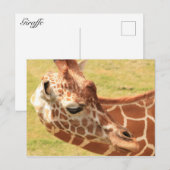 Giraffe #6 briefkaart (Voorkant / Achterkant)
