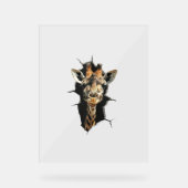 Giraffe _7 acryl bord (Voorkant)