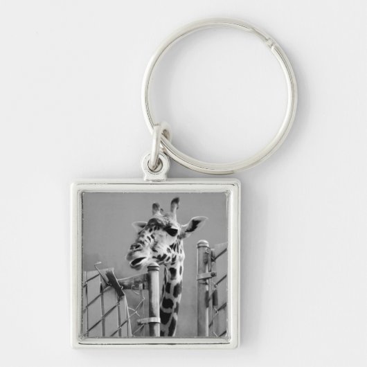 Giraffe achter fence Black & White-foto Sleutelhanger (Voorkant)