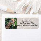 Giraffe Adresetiketten Etiket (Insitu)