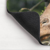 Giraffe Afbeeldingen Muismat (Hoek)