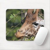 Giraffe Afbeeldingen Muismat (Met muis)