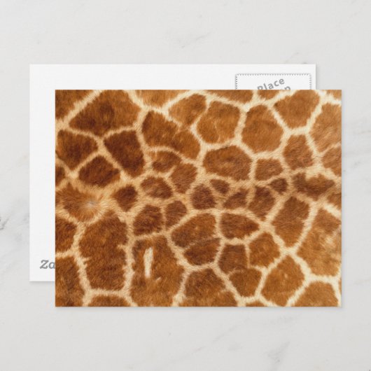Giraffe afdrukken briefkaart (Voorkant / Achterkant)