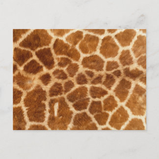 Giraffe afdrukken briefkaart