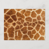 Giraffe afdrukken briefkaart (Voorkant)