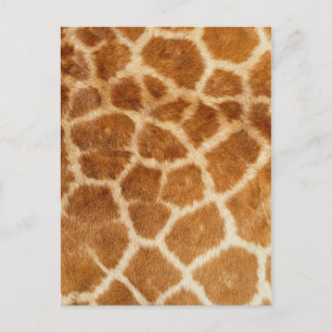 Giraffe afdrukken briefkaart