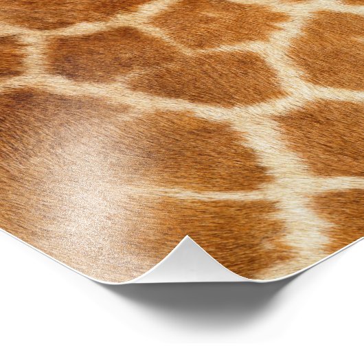 Giraffe afdrukken foto afdruk (Hoek)