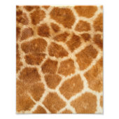 Giraffe afdrukken foto afdruk (Voorkant)