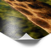 Giraffe Afdrukken sluiten Foto Afdruk (Hoek)