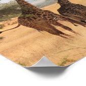 Giraffe Africa Animal Pattern Destiny's Destiny's  Poster (Hoek)