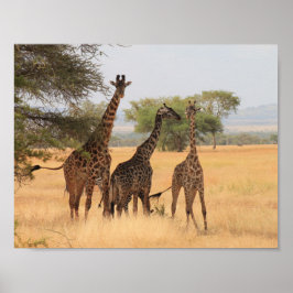 Giraffe Africa Animal Pattern Destiny's Destiny's  Poster