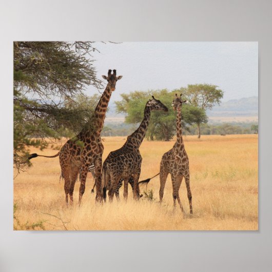 Giraffe Africa Animal Pattern Destiny's Destiny's  Poster (Voorkant)