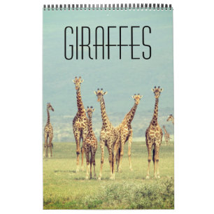 giraffe african safari kalender