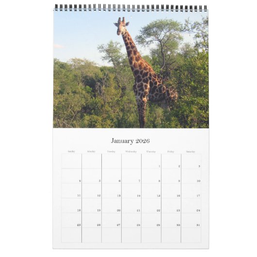 giraffe african safari kalender (Jan 2026)