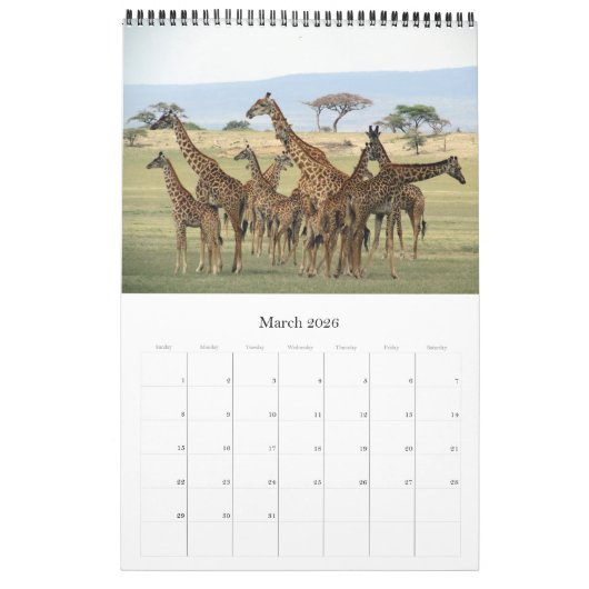 giraffe african safari kalender (Mar 2026)