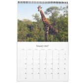 giraffe Afrikaanse safari Kalender (Jan 2027)