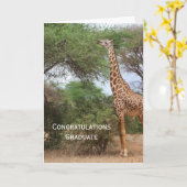 Giraffe Afstuderen Card Kaart (Gele Bloem)