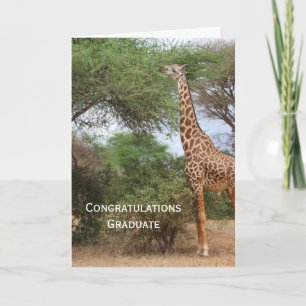 Giraffe Afstuderen Card Kaart