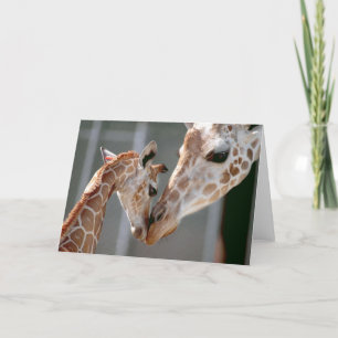 Giraffe and Baby Card Kaart