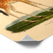  Giraffe Animal Art print natuurgeschiedenis (Hoek)