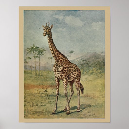  Giraffe Animal Art print natuurgeschiedenis (Voorkant)